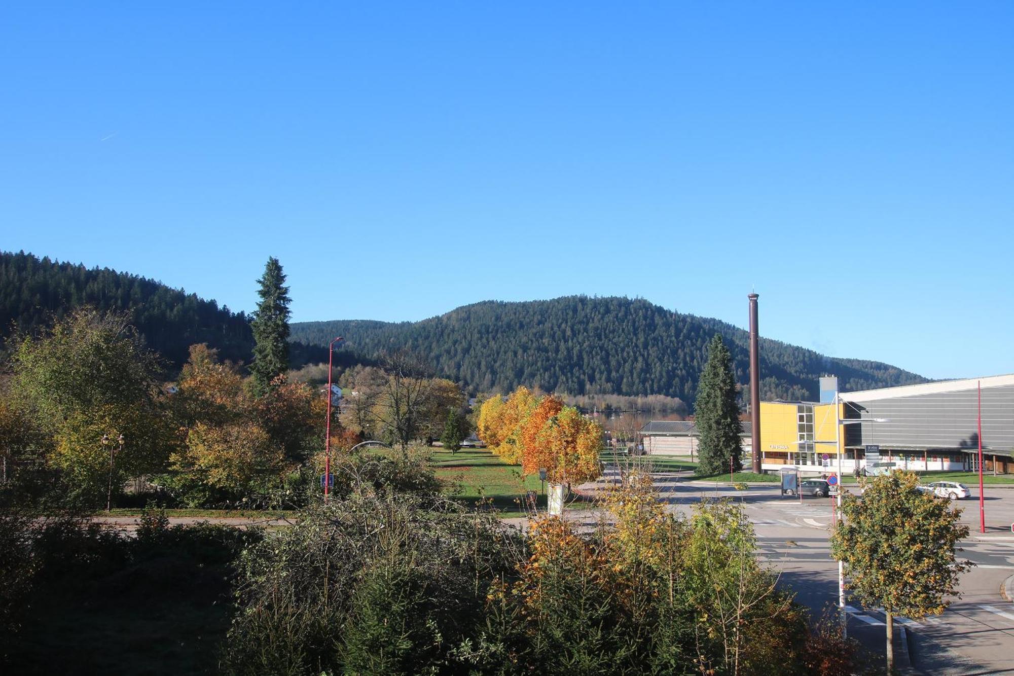 Les Loges Du Parc Gérardmer